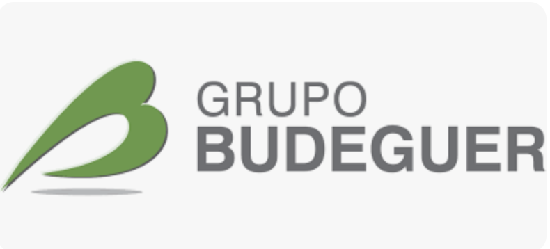 Grupo Budeguer